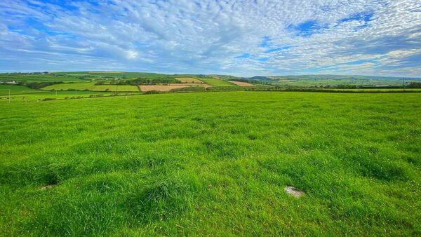 Kieran Coughlan: What the nitrates decision means for land prices